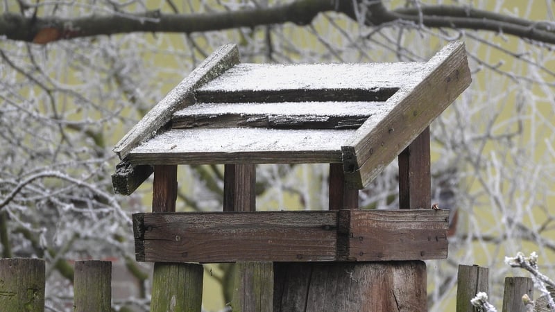DIY Bird Feeder